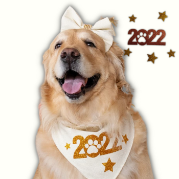 Design sem nome (6)